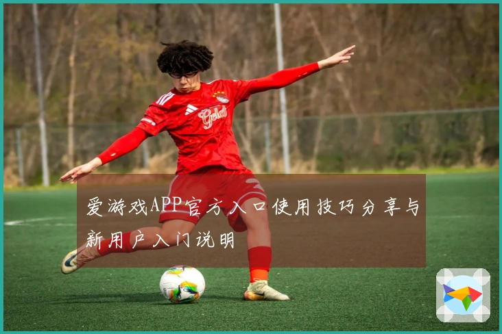 爱游戏APP官方入口使用技巧分享与新用户入门说明
