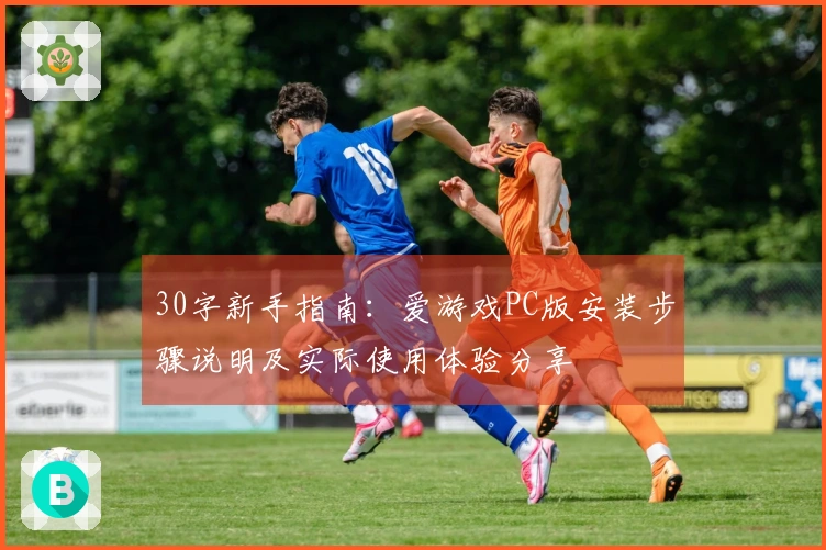 30字新手指南：爱游戏PC版安装步骤说明及实际使用体验分享